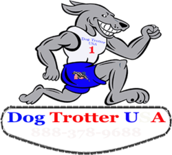 Dog Trotter USA